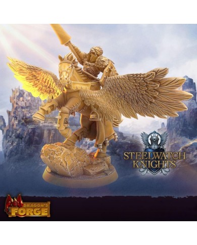 Steelwatch Paladin - Commander on Pegasus