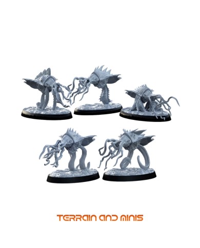 Cult of Magic - Silent Reapers - 5 Minis