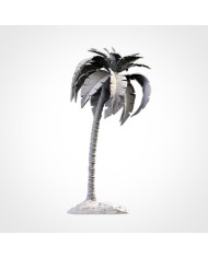 Palm Tree - C