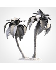 Palm Trees - C