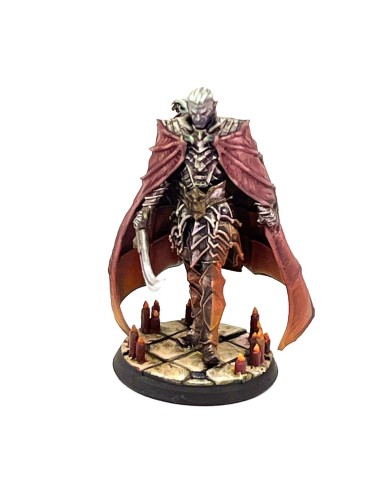 Dungeons and Terrors - Drokul, Bloodborne Count - 1 Mini
