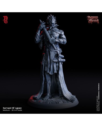 Dungeons and Terrors - Servant Of Agony - 1 Mini