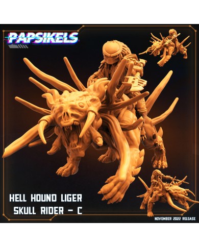 Skull Hunter - Hell Hound Rider - C - 1 Mini