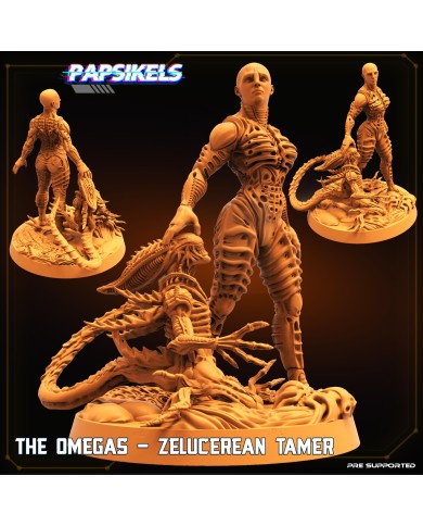 Omega - Zelucerian Rebirth - Tamer - A - 1 Mini