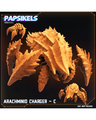 Arachminid Charger - C - 1 Mini