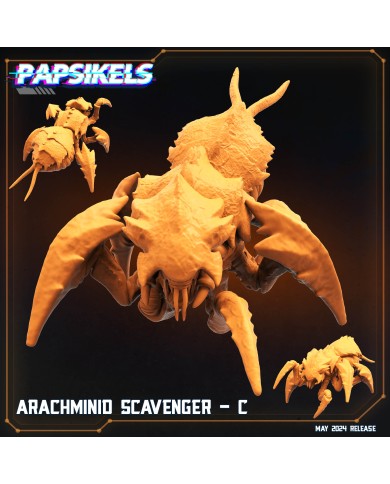 Arachminid Scavenger - C - 1 Mini