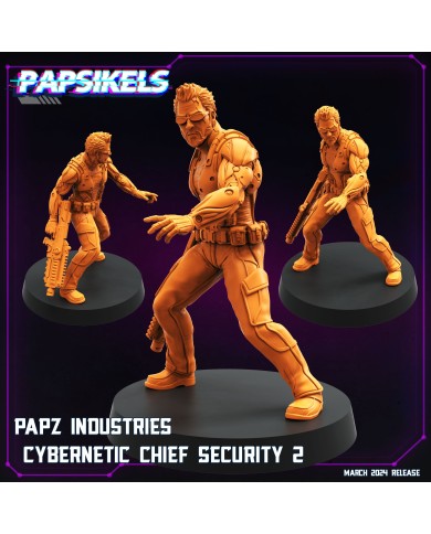 Jefe de Seguridad Cibernético de Papz Industries - B - 1 Mini