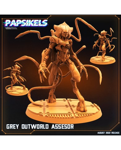 Grey Outworld Assesor - 1 Mini