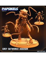 Grey Outworld Surveyor - 1 Mini