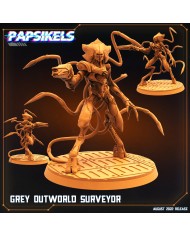 Grey Outworld Assesor - 1 Mini