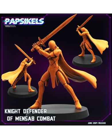 Knight Defender of Mensab Combat - 1 Mini