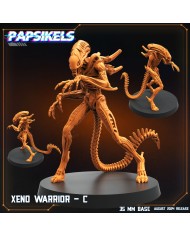 Xeno Warrior - D - 1 Mini