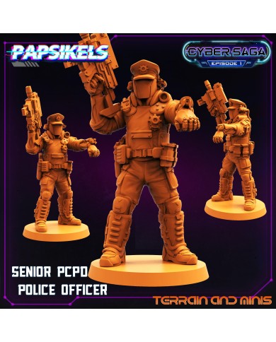 PCPD - Senior Police Officer - 1 Mini