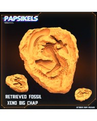 Retrieved Fossil Xeno Big Chap - 1 Mini