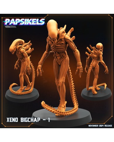 Xeno Bigchap - A - 1 Mini