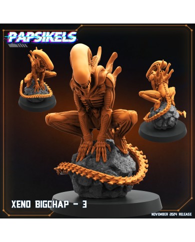 Xeno Bigchap - C - 1 Mini