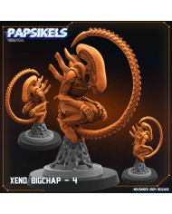 Xeno Bigchap - D - 1 Mini