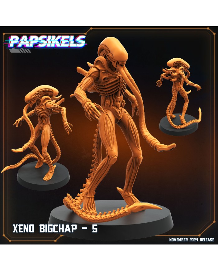 Xeno Bigchap - E - 1 Mini