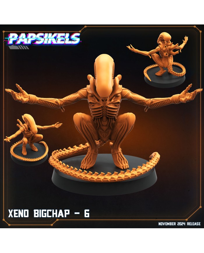 Xeno Bigchap - F - 1 Mini