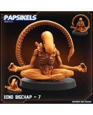 Xeno Bigchap - G - 1 Mini