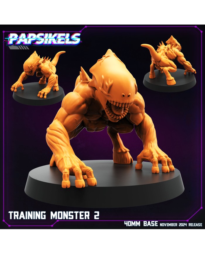 Training Monster - B - 1 Mini