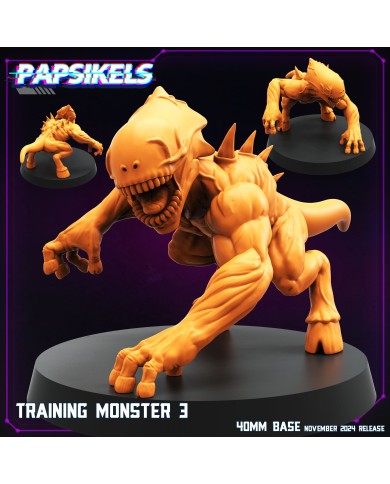 Training Monster - C - 1 Mini