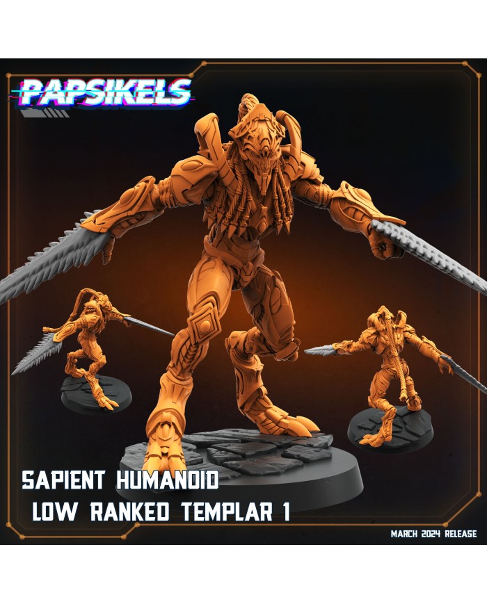 Sapient Humanoid Low Ranked Templar 1|Papsikels Miniatures|Starcraft Miniatures