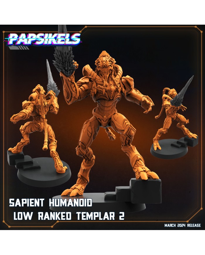 Humanoide Inteligente Templario de Rango Bajo - B|Papsikels Miniatures|Miniaturas Starcraft