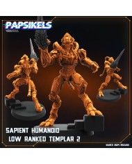 Sapient Humanoid Low Ranked Templar - A - 1 Mini