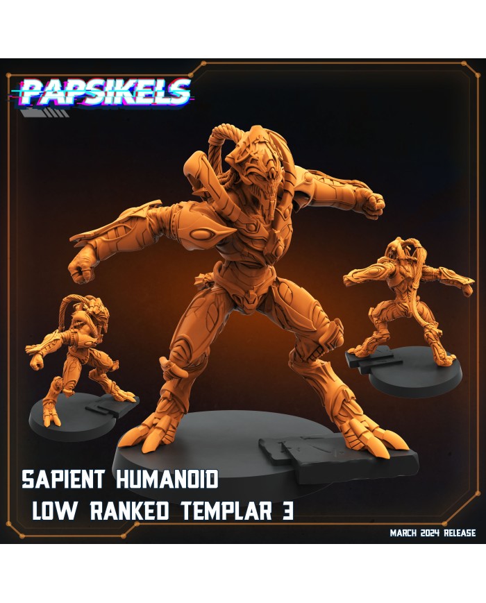 Sapient Humanoid Low Ranked Templar 3|Papsikels Miniatures|Starcraft Miniatures