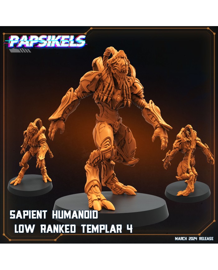 Humanoide Inteligente Templario de Rango Bajo - D|Papsikels Miniatures|Miniaturas Starcraft