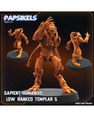 Humanoide Inteligente Templario de Rango Bajo - E|Papsikels Miniatures|Miniaturas Starcraft