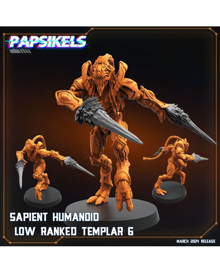 Humanoide Inteligente Templario de Rango Bajo - F|Papsikels Miniatures|Miniaturas Starcraft