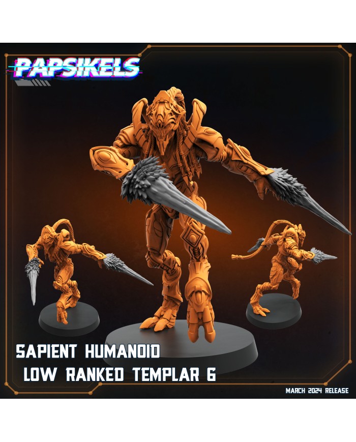 Sapient Humanoid Low Ranked Templar - F - 1 Mini