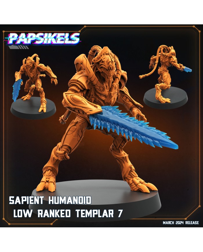 Humanoide Inteligente Templario de Rango Bajo - G|Papsikels Miniatures|Miniaturas Starcraft