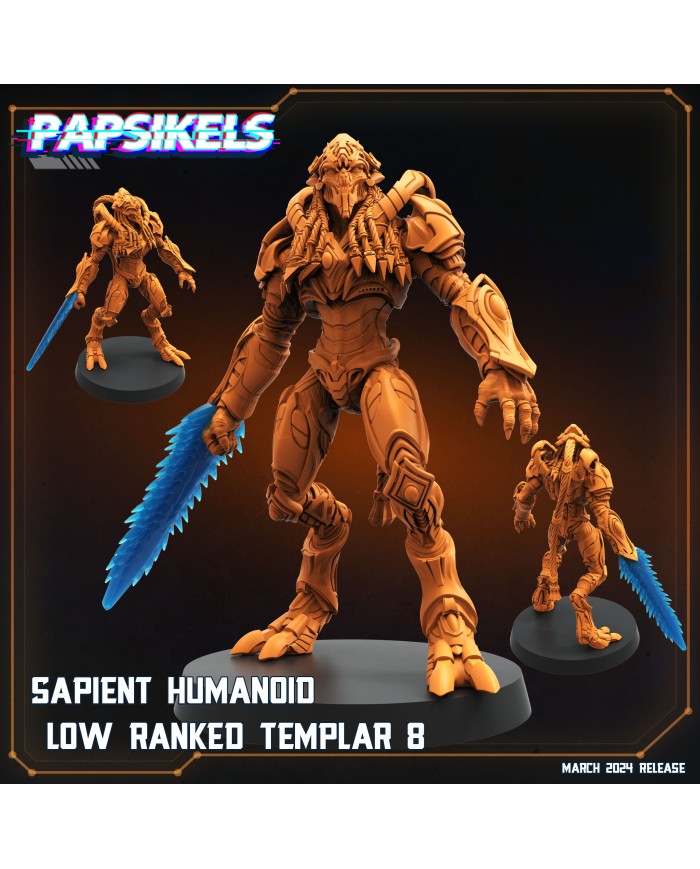 Sapient Humanoid Low Ranked Templar 8|Papsikels Miniatures|Starcraft Miniatures
