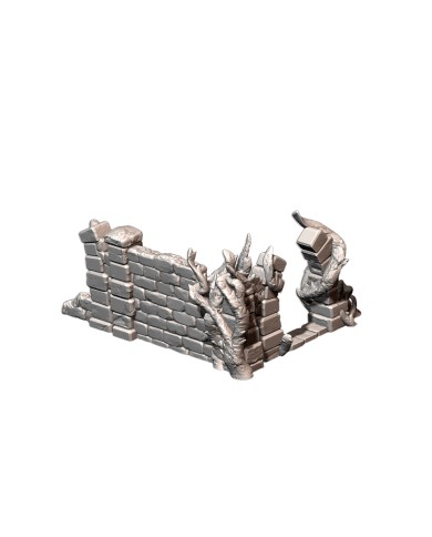 Ruinas Abandonadas (5"x3") - B