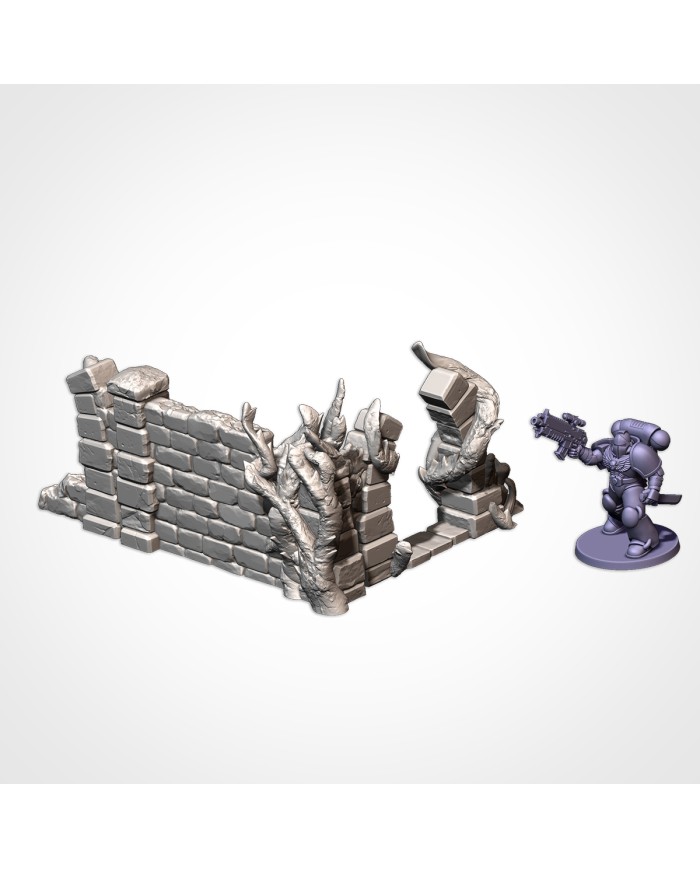 Ruinas Abandonadas (5"x3") - B