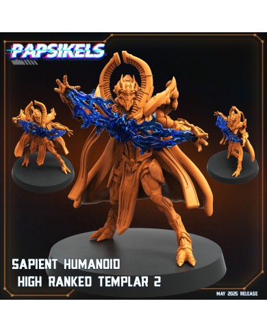 Sapient Humanoid High Ranked Templar - B - 1 Mini