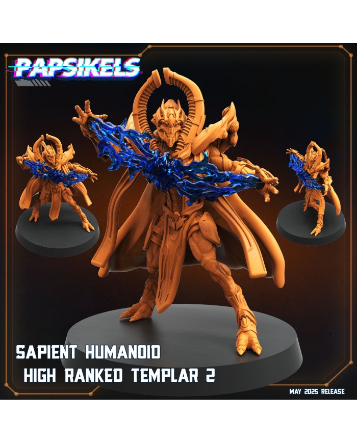 Sapient Humanoid High Ranked Templar 2|Papsikels Miniatures|Starcraft Miniatures