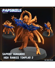 Sapient Humanoid High Ranked Templar - C - 1 Mini