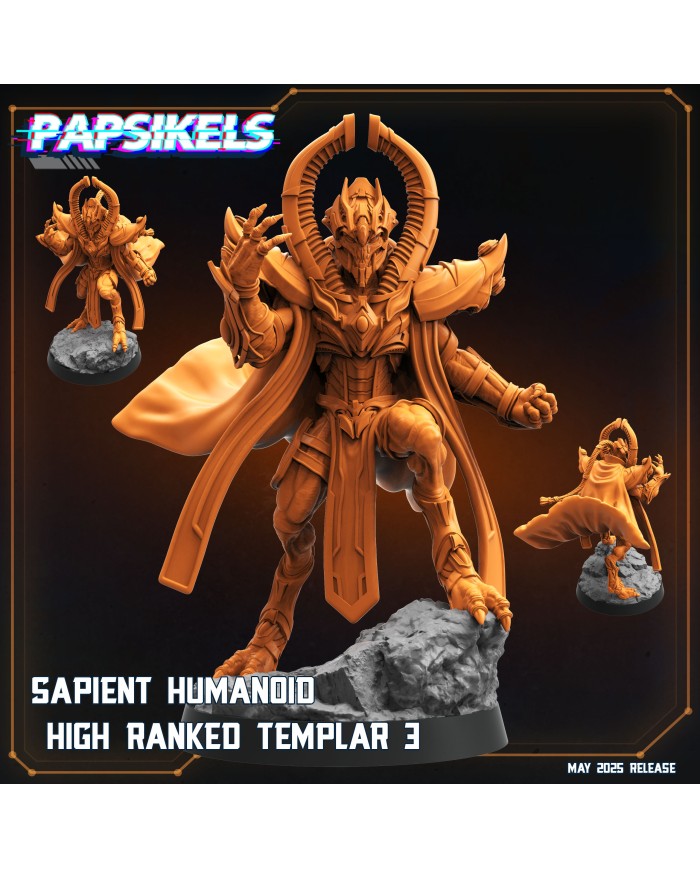 Humanoide Inteligente Templario de Rango Alto - C|Papsikels Miniatures|Miniaturas Starcraft