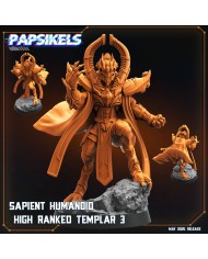 Sapient Humanoid High Ranked Templar - C - 1 Mini