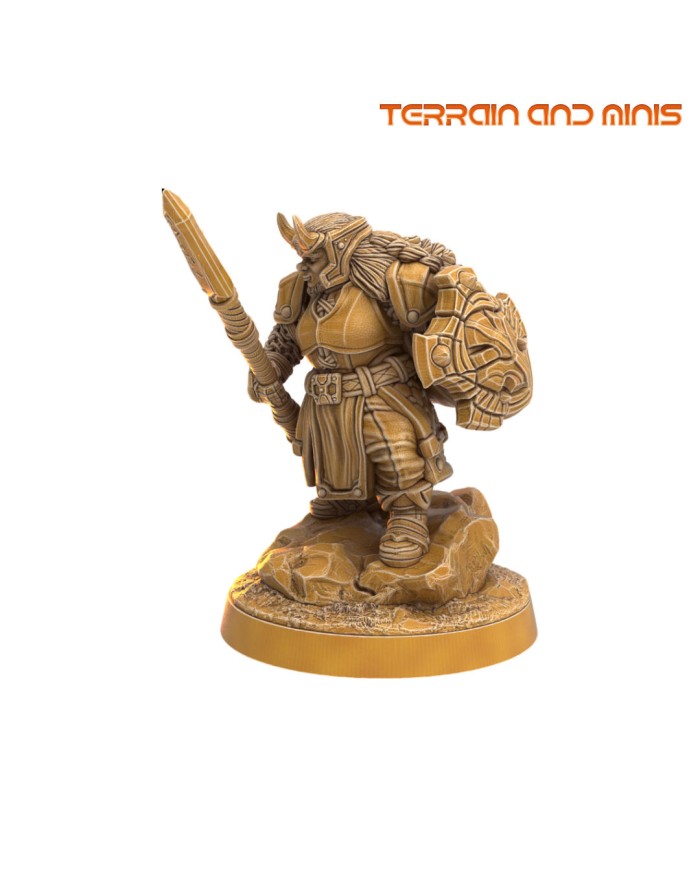 Dwarven Valkyraks - Spear Maidens - 6 minis