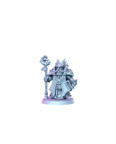 Gnome Wizard Male - Draloth