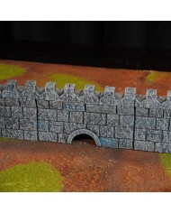 Kingdom of Saxonia - Deep Citadel|Conquest Creations|Kingdom of Saxonia Terrain