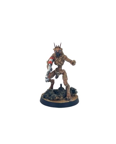Gamba Guerrera Forastera Rebelde - C