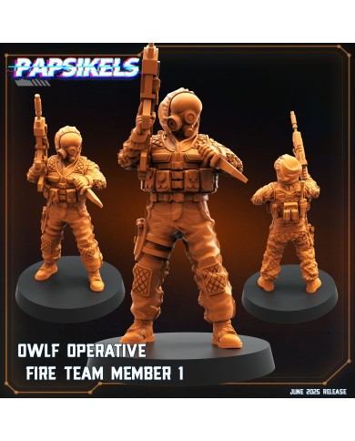 Miembro del Equipo Operativo de Fuego OWLF - A
