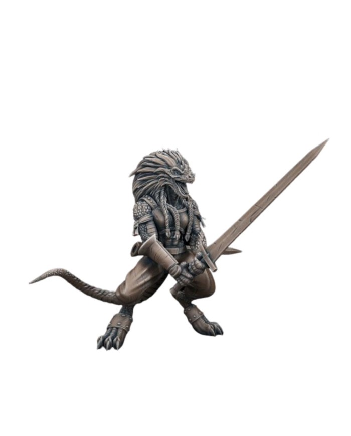 Bárbara Dragonborn|TytanTroll Miniatures|Bárbaros