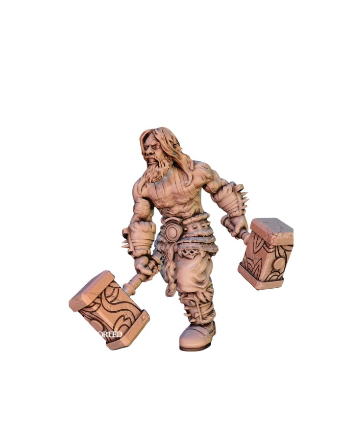 Storm Herald Barbarian - B|The Master Forge|Barbarians Storm Herald Barbarian - B|The Master Forge|Barbarians